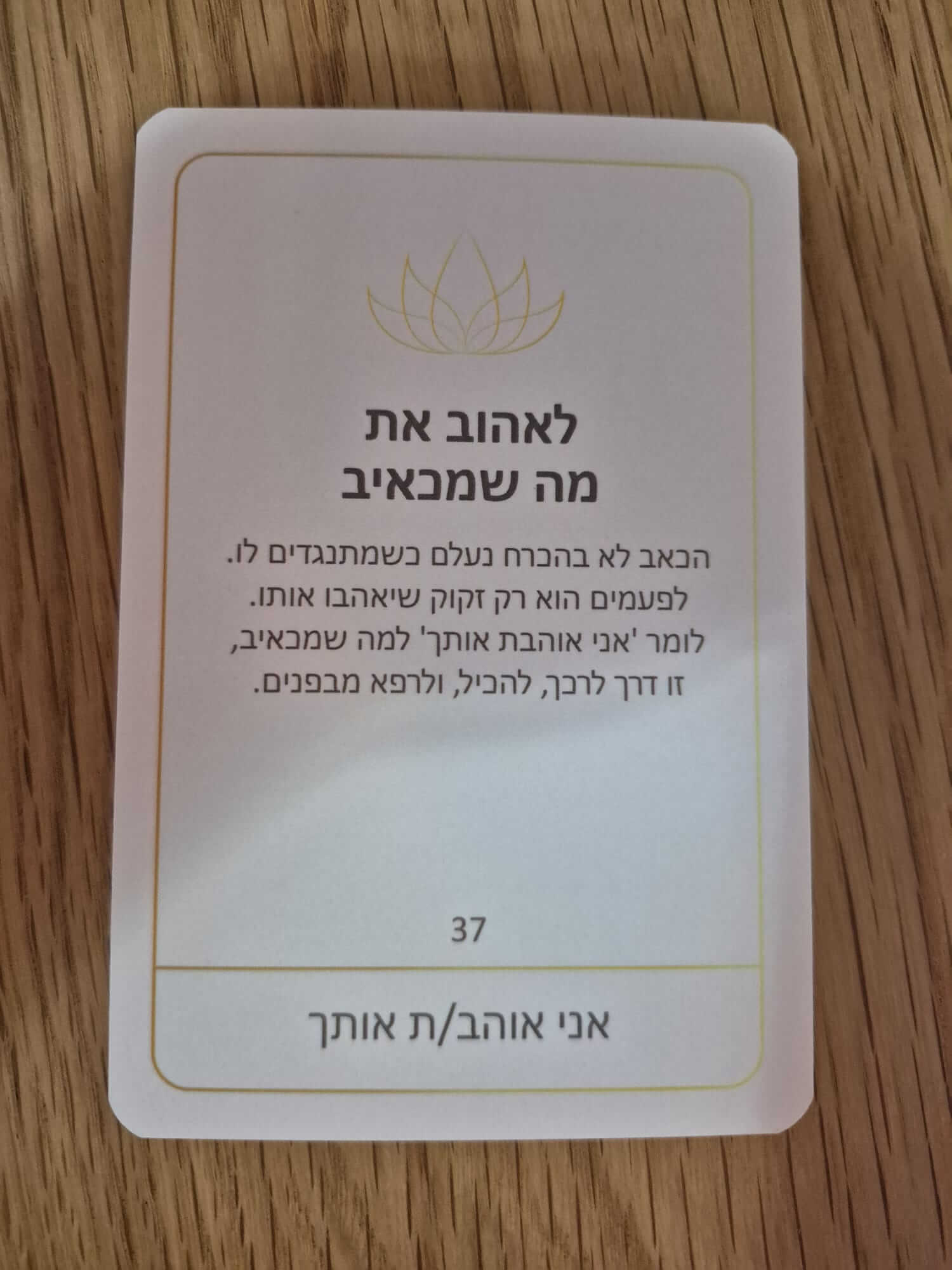 WhatsApp Image 2025-10-29 at 19.03.42