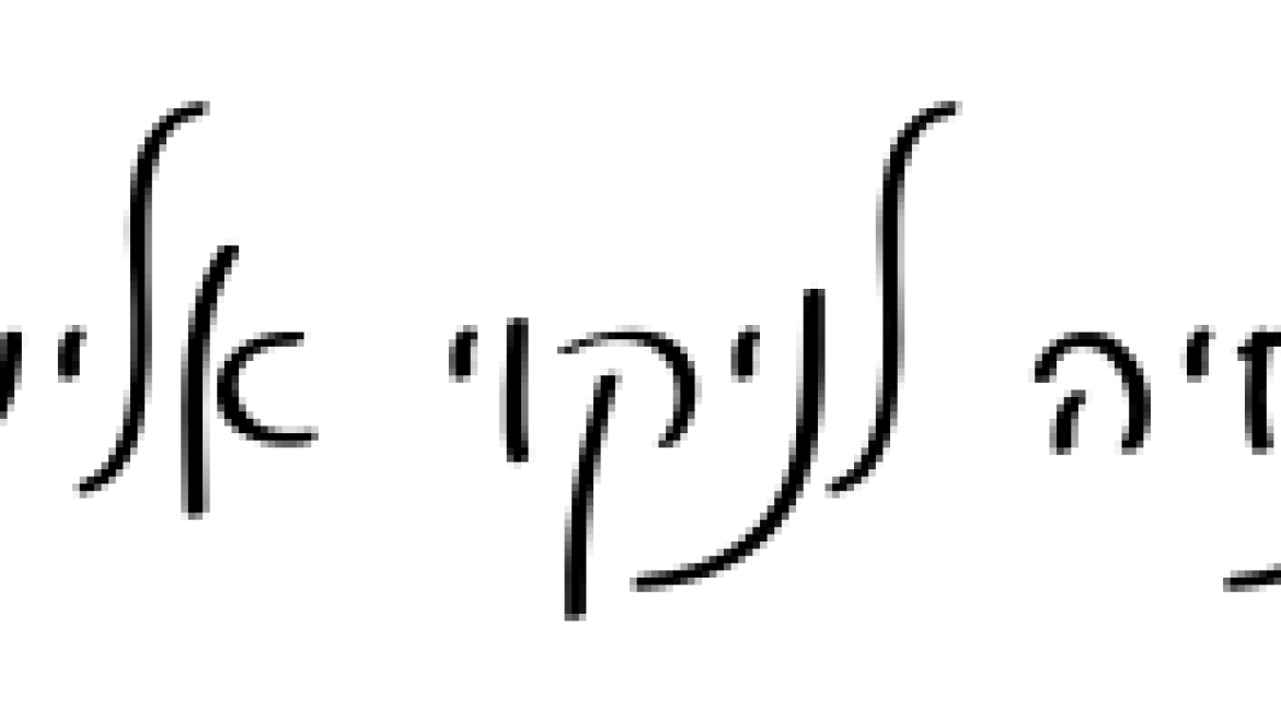 הנחיה לניקוי אלימות